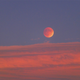 Illustration for article titled 34 Amazing Photos Of The Super Blood Moon